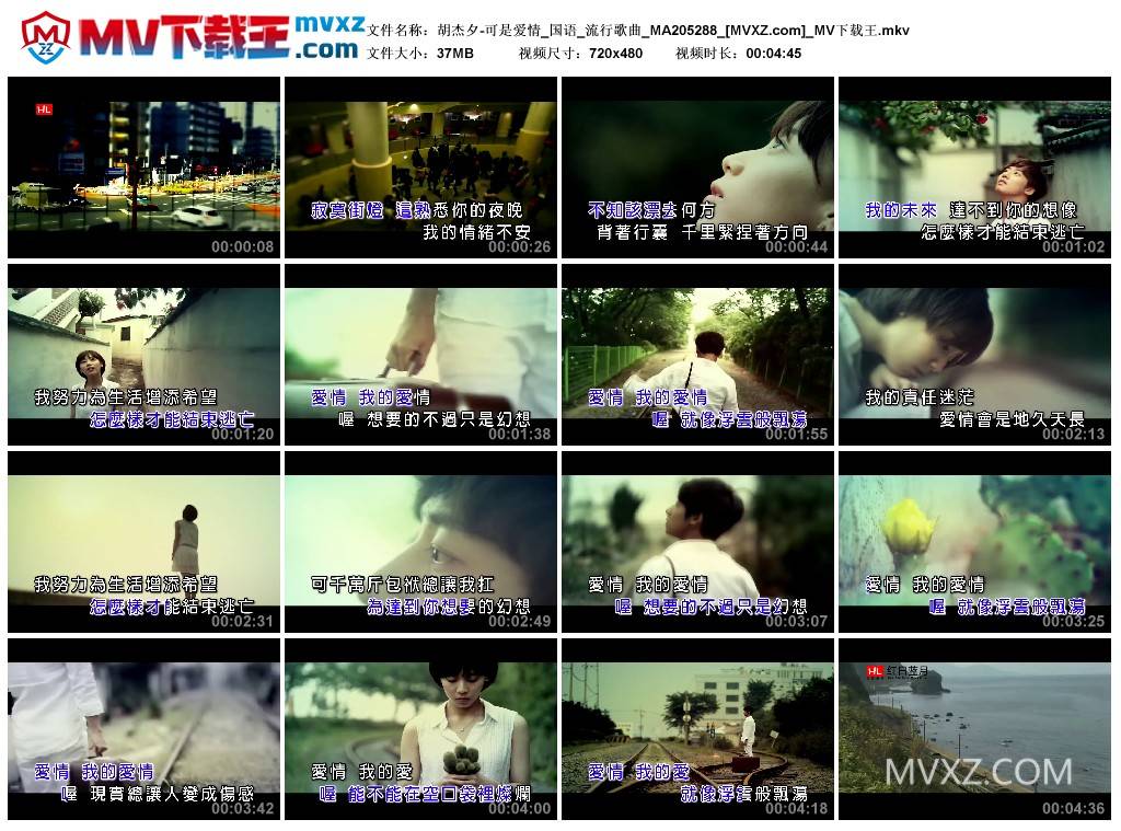 胡杰夕-可是爱情_国语_流行歌曲_MA205288
